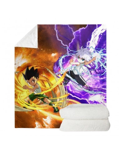 Couverture Killua Et Gon Hunter x Hunter Véritable concentré