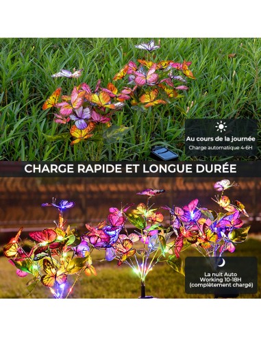 🌞✨Lampes solaires papillon pour jardin acheter